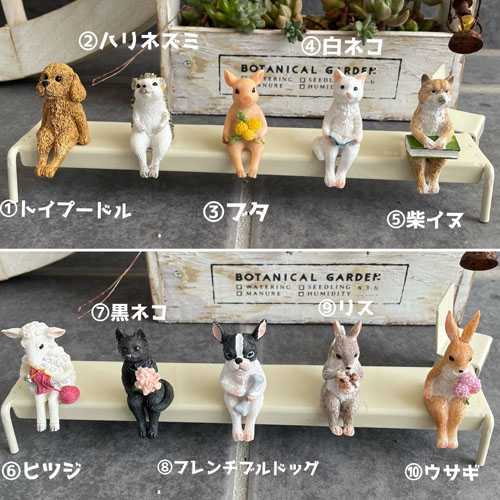 ワークショップで作成予定の多肉の寄せ植えに飾るアニマルの画像