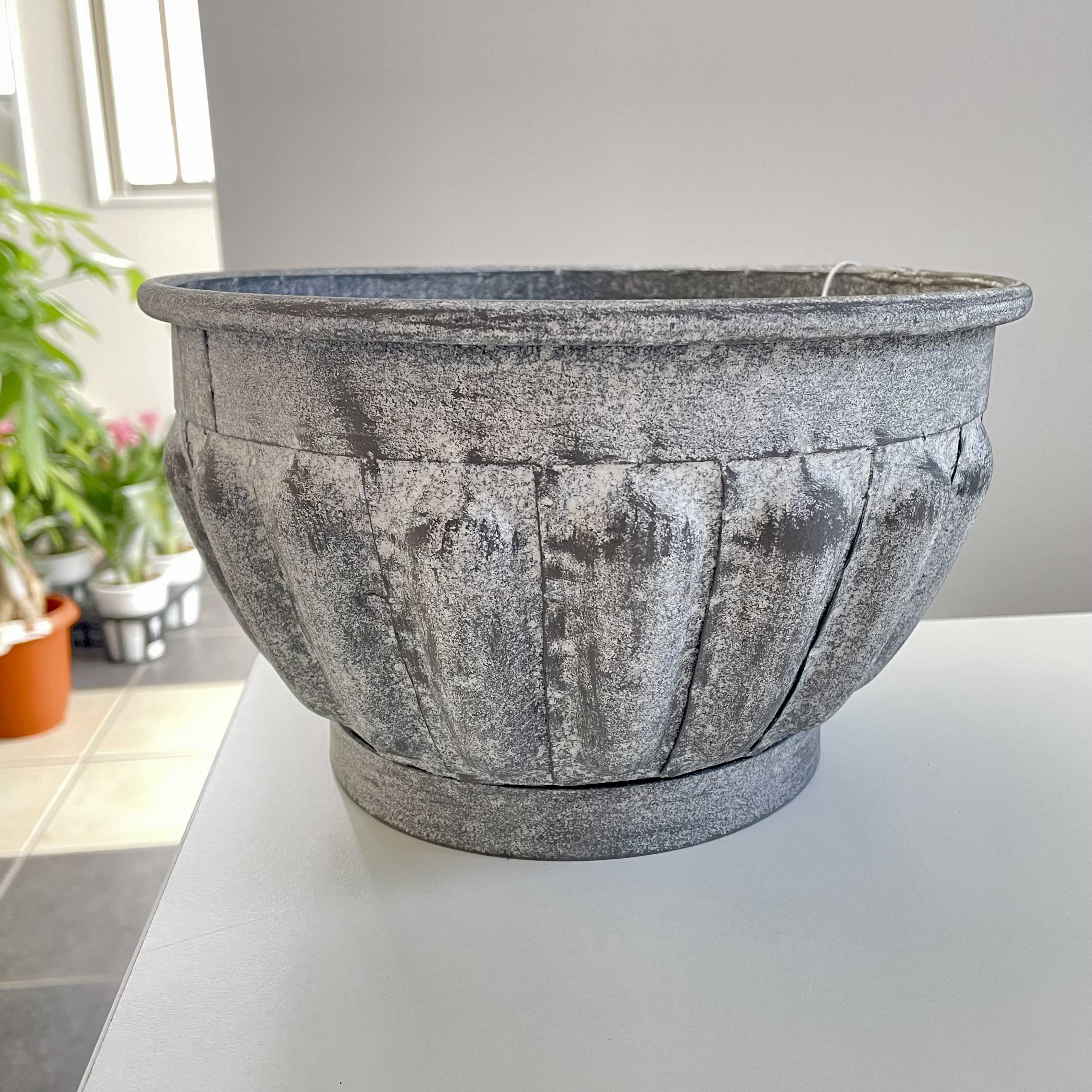 ワークショップで作成予定の多肉の作品の画像